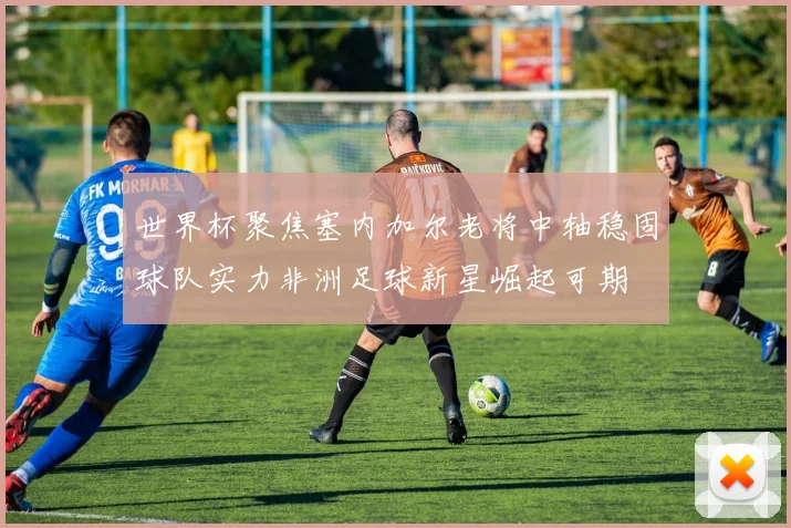 世界杯聚焦塞内加尔老将中轴稳固球队实力非洲足球新星崛起可期