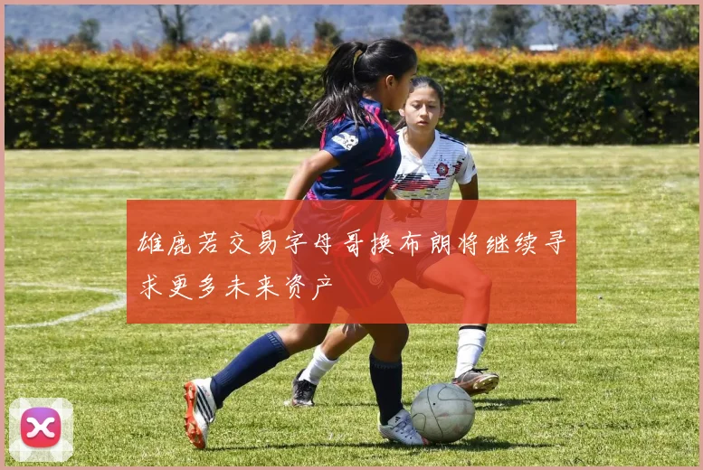 雄鹿若交易字母哥换布朗将继续寻求更多未来资产