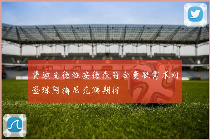 费迪南德称安德森符合曼联需求对签琼阿梅尼充满期待