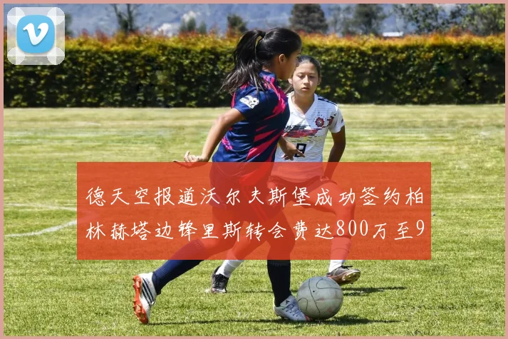 德天空报道沃尔夫斯堡成功签约柏林赫塔边锋里斯转会费达800万至900万欧元