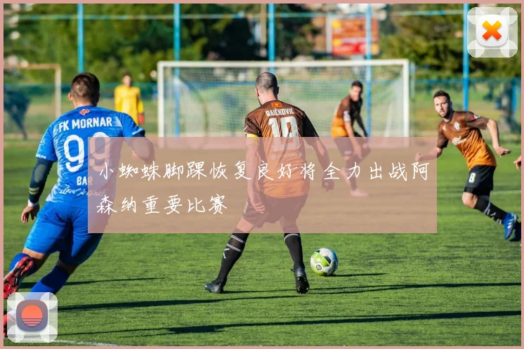 小蜘蛛脚踝恢复良好将全力出战阿森纳重要比赛
